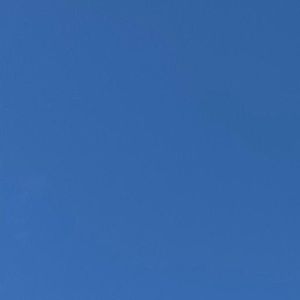 Meet your Posher, Sarahi